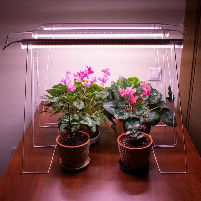 Светильник для растений линейный, 9 Вт, L572мм, розовый спектр - фотография № 4