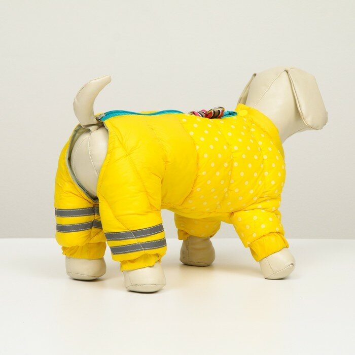 Комбинезон для собак Sima-land "Горошек", размер 16, желтый (6968575) - фотография № 3