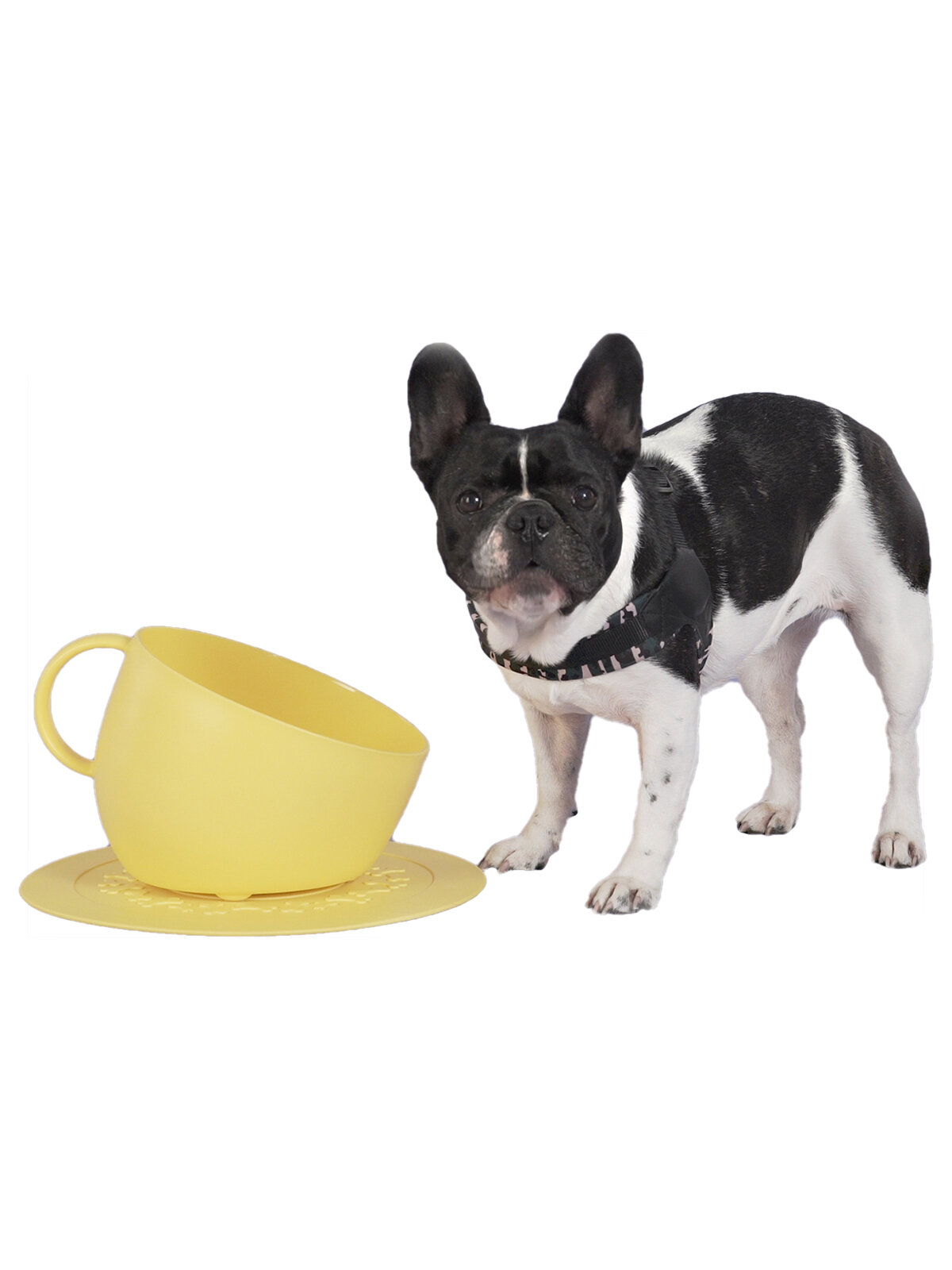 Миска-чашка для собак United Pets 2,5 л Kit CUP + коврик 35 см, желтые - фотография № 8