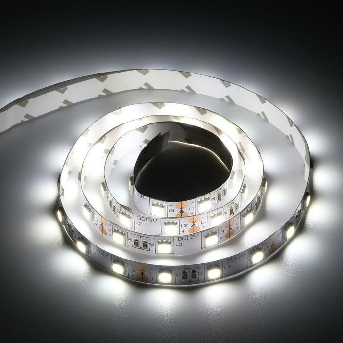 Светодиодная лента Ecola PRO, 12В, SMD5050, 1 м, IP20, 14.4Вт/м, 60 LED/м, 4200К - фотография № 1