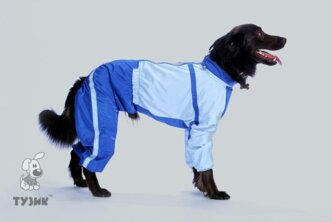 Одежда для собак тузик Комбинезон теплый Французский бульдог кобель, 100гр.