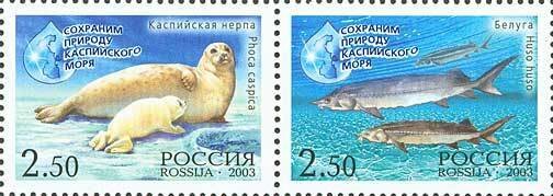 (2003-069-70) Сцепка (2 м) Россия "Животные" Сохраним природу Каспийского моря III O