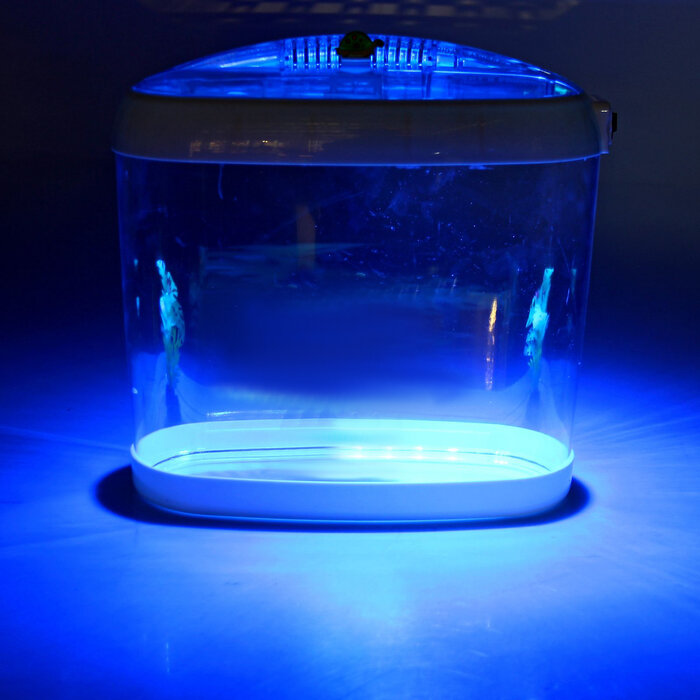 Аквариум настольный, с подсветкой LED и календарем кормлений, 4,4 л - фотография № 3