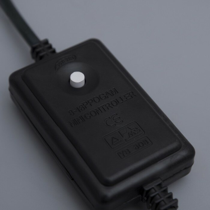 Luazon Lighting Контроллер уличный для LED дюралайта 13 мм, 2W, до 100 метров, 8 режимов - фотография № 3