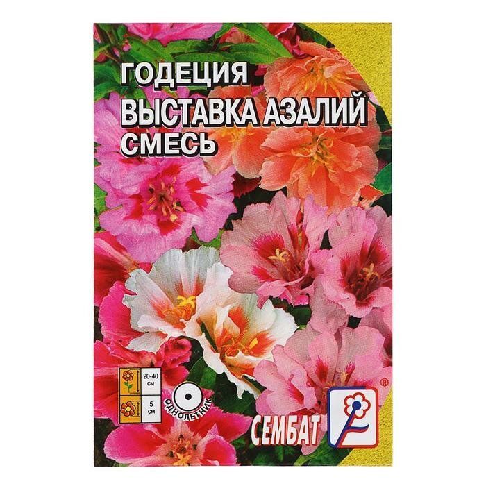 Семена цветов Годеция "Выставка Азалий" смесь 01 г (2 шт)