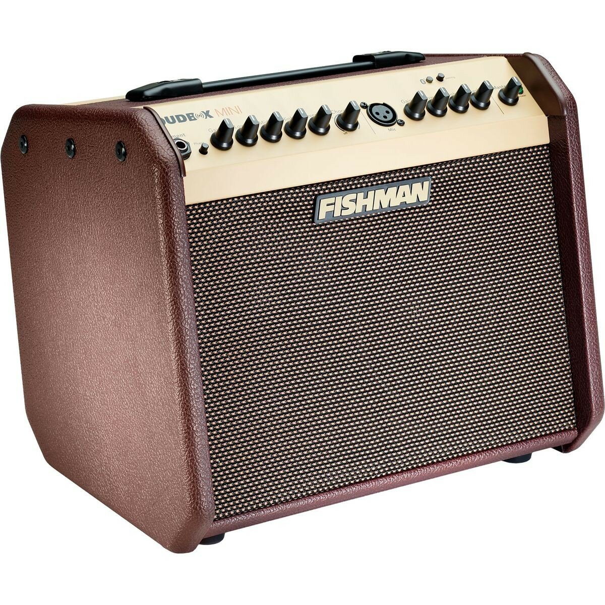 Fishman Pro-LBT-EU5 LoudBox Mini Bluetooth комбо для акустической гитары, 60 Вт