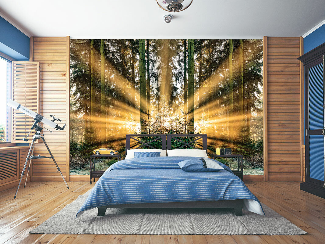 Фотообои WonderWall Солнце и лес 386х28 м для кухни в спальню гостиную