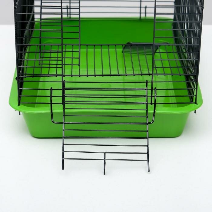Пижон Клетка для грызунов "Пижон" №9, с 3-я этажами, без наполнения, 33 х 24 х 38 см, зеленый микс - фотография № 5