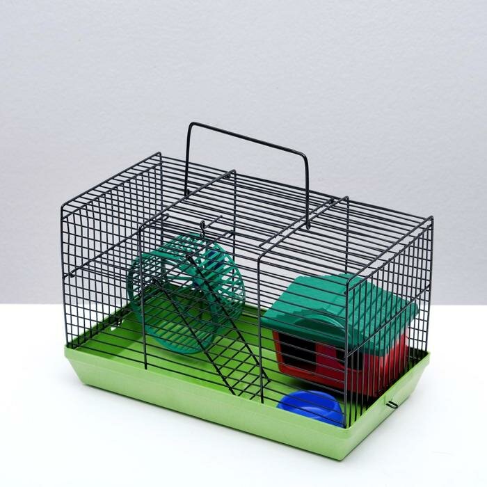 Пижон Клетка-мини для грызунов "Пижон" №2, укомплектованная, 27х15х16 см, зеленый микс - фотография № 4