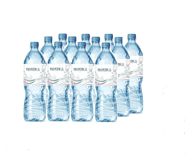 Вода природная питьевая"HANTICA" 0,5 л. ( упаковка 12 шт.) - фотография № 3