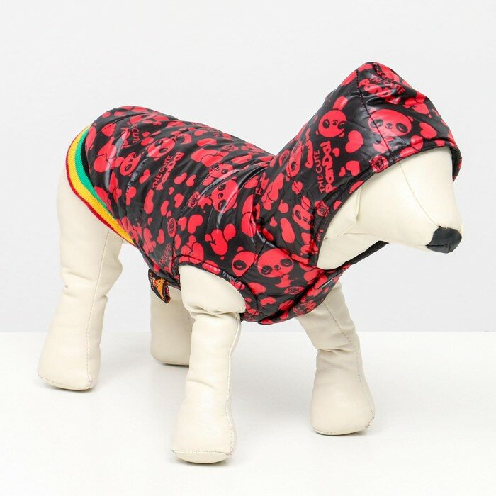 Курточка для собак "Пятнашки", размер 3 (ДС 28,ОШ 30, ОГ 42 см), красная - фотография № 1