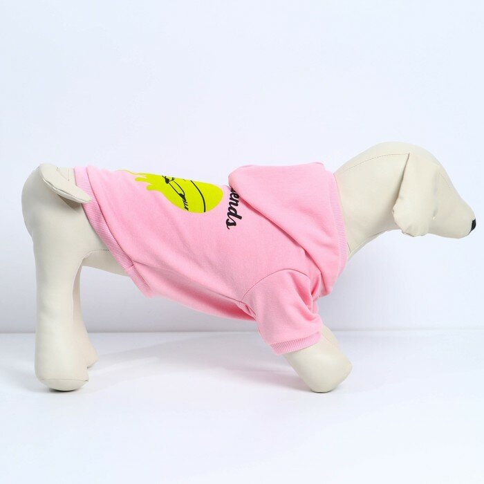Толстовка Best Friends для собак (футер), размер S (ДС 23, ОШ 32-34, ОГ 40-44), розовая - фотография № 2