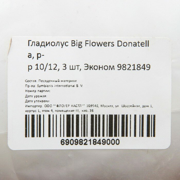 Гладиолус Big Flowers Donatella, р-р 10/12, 3 шт, Эконом - фотография № 2