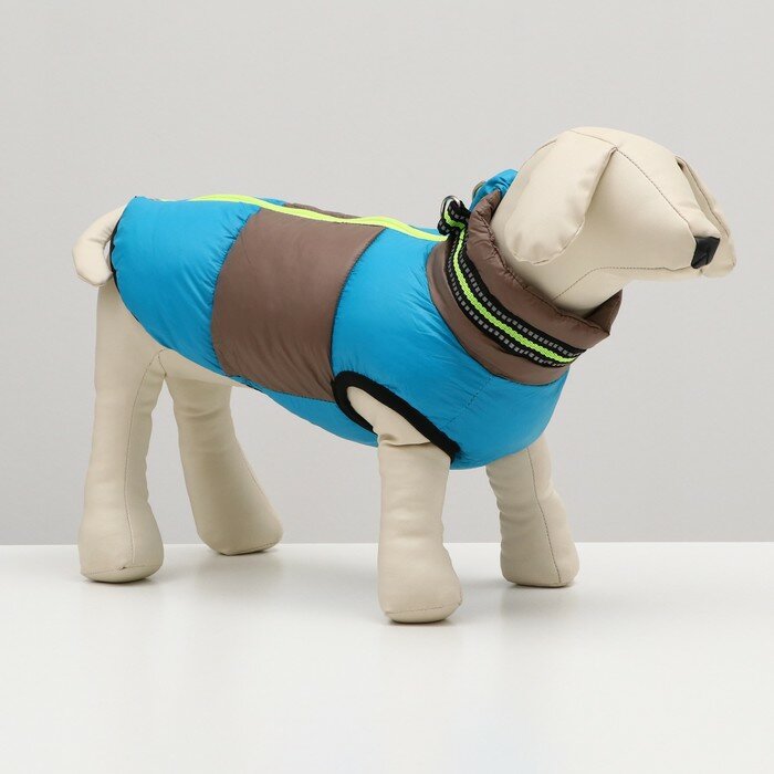 Куртка для собак с ошейник, размер 10 (ДС 25 см, ОГ 34 см, ОШ 24 см), серо-голубая - фотография № 1