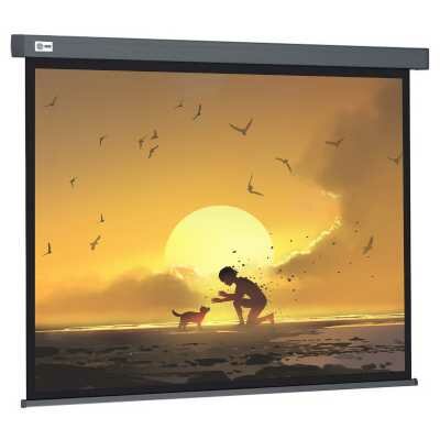 Экран для проектора Cactus Wallscreen CS-PSW-124X221-SG