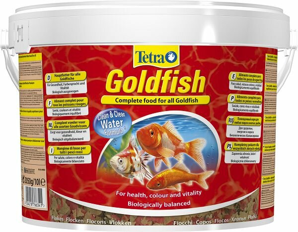 Tetra GoldFish     ,  10 