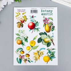 Fabrika Decoru Набор стикеров "Botany exotic" 9 шт