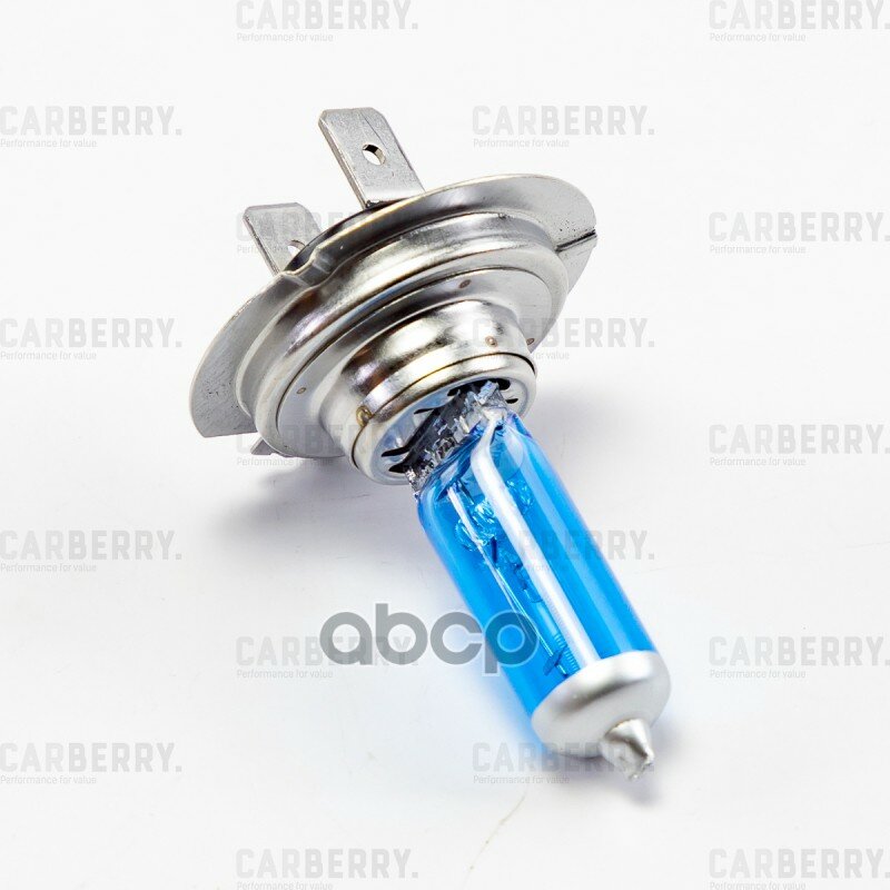 фото Лампа H7 12V (55W) Power Light CARBERRY арт. 31CA13PL