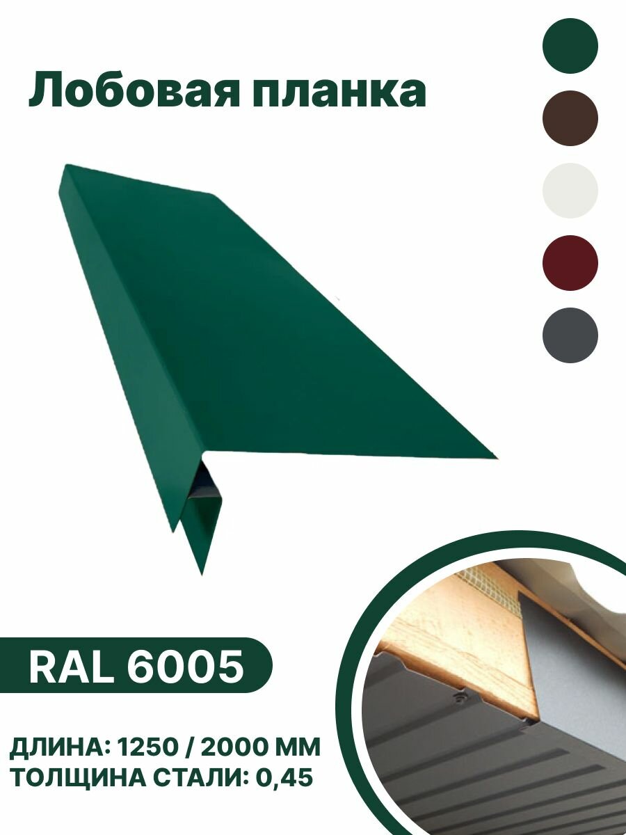 Лобовая планка RAL-6005 2000мм 10 шт в упаковке - фотография № 1