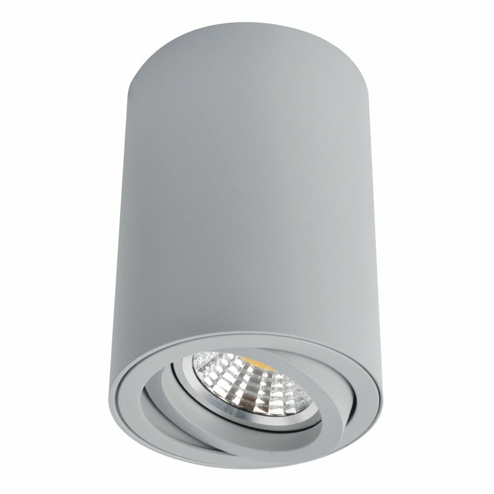 Спот Arte Lamp Sentry A1560PL-1GY