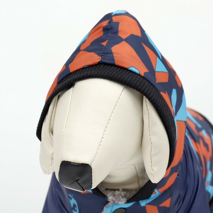 Комбинезон для собак на меховом подкладе с капюшоном, размер S S Синий - фотография № 6