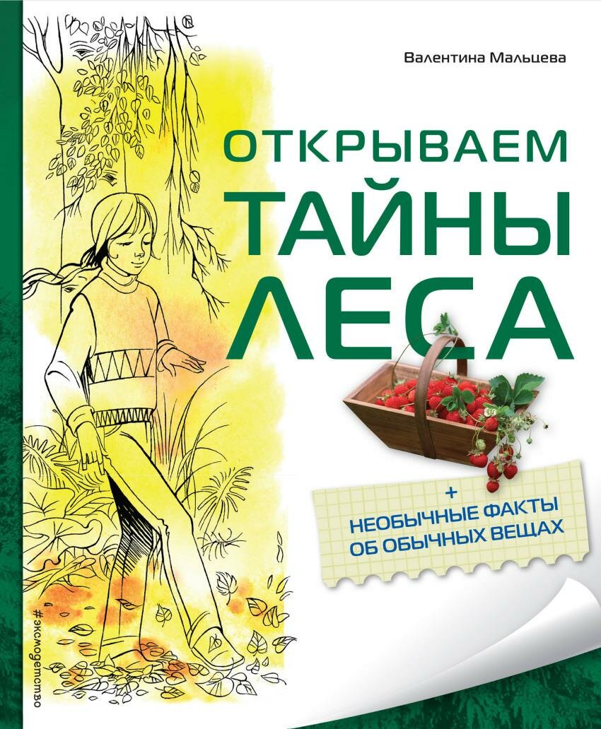 Открываем тайны леса (Сичкарь Александр Николаевич (иллюстратор), Мальцева Валентина Ефимовна, Лазарева Любовь Павловна (иллюстратор)) - фото №1