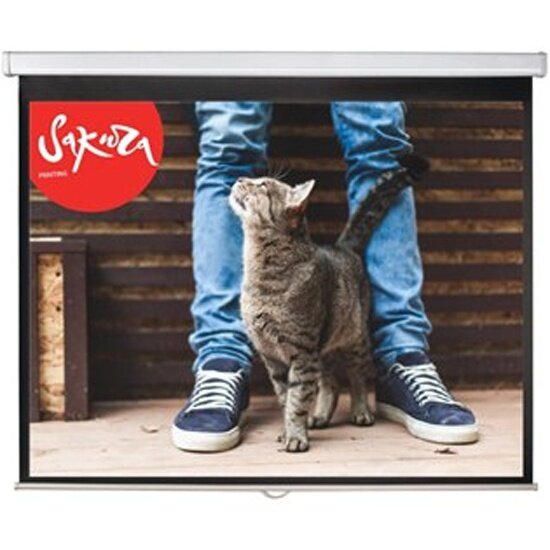 Экран настенно-потолочный Sakura Printing Cinema S'OK 183x183см Wallscreen 1:1 рулонный белый 102' (SCPSW-183x183)