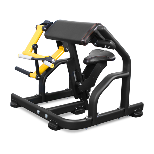 Бицепс PL-1713 BRONZE GYM