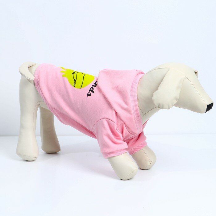 Толстовка Best Friends для собак (футер), размер L (ДС 30, ОШ 38-40, ОГ 52-56), розовая - фотография № 2
