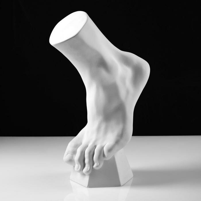 Гипсовая фигура анатомическая: стопа вертикальная, 14 х 23,5 х 38 см - фотография № 2