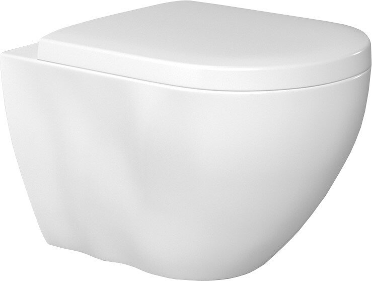 Bien Унитаз подвесной Bien Dune безободковый, с биде