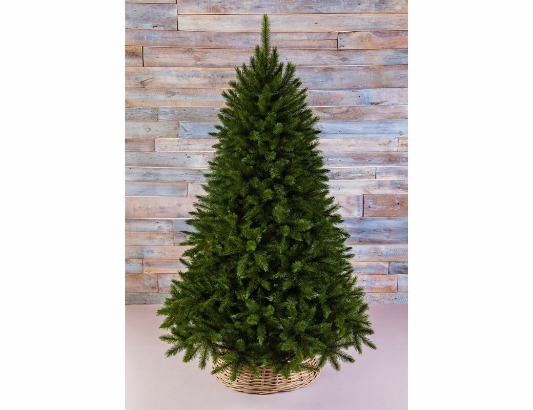 Искусственная елка Лесная Красавица 155 см, леска + ПВХ, Triumph Tree 73240