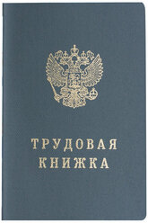 Бланк документа «Трудовая книжка», 88x125 мм, гознак 1 шт.