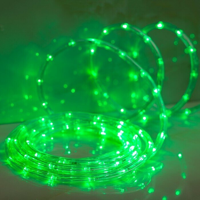 LED шнур 10 мм круглый 5 м чейзинг 2W-LED/м-24-220V с контр. 8р зеленый