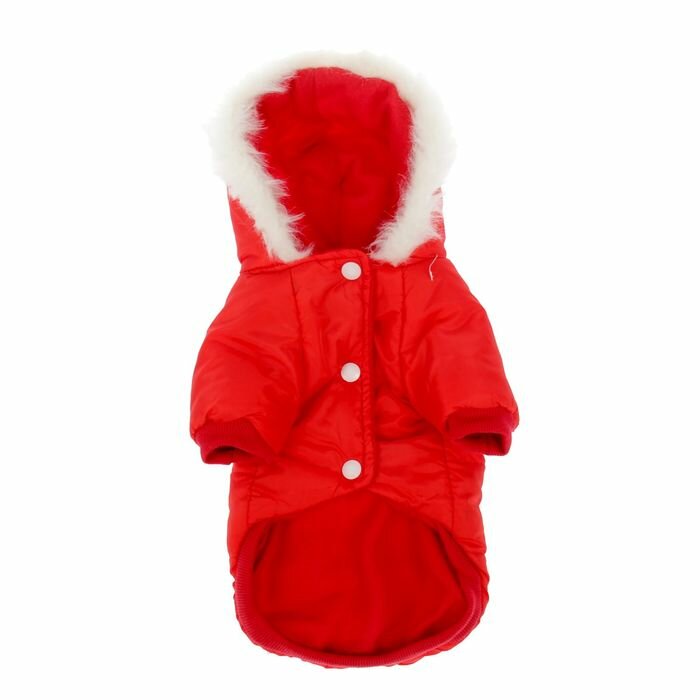 Куртка с капюшоном и мехом, размер XS (ОШ 22, ОГ 32, ДС 20 см), красная - фотография № 5