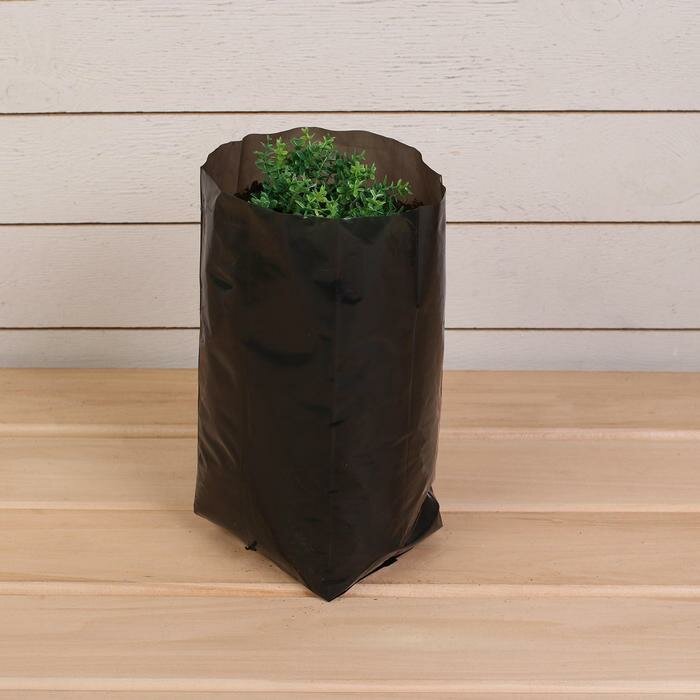 Пакет для рассады, 3 л, 11 × 30 см, полиэтилен толщиной 60 мкм, с перфорацией, чёрный, Greengo - фотография № 2