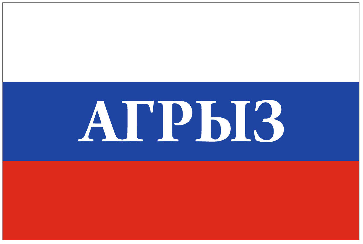 Флаг России с надписью Агрыз 90х135 см