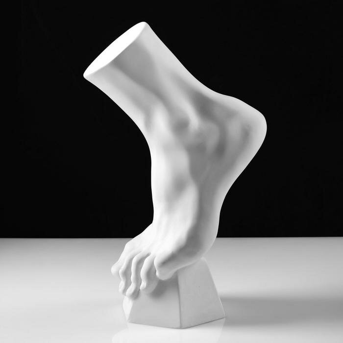 Гипсовая фигура анатомическая: стопа вертикальная, 14 х 23,5 х 38 см - фотография № 1
