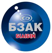 BZAK 906621 Комплект дисков переднего тормоза ВАЗ 2112 R14