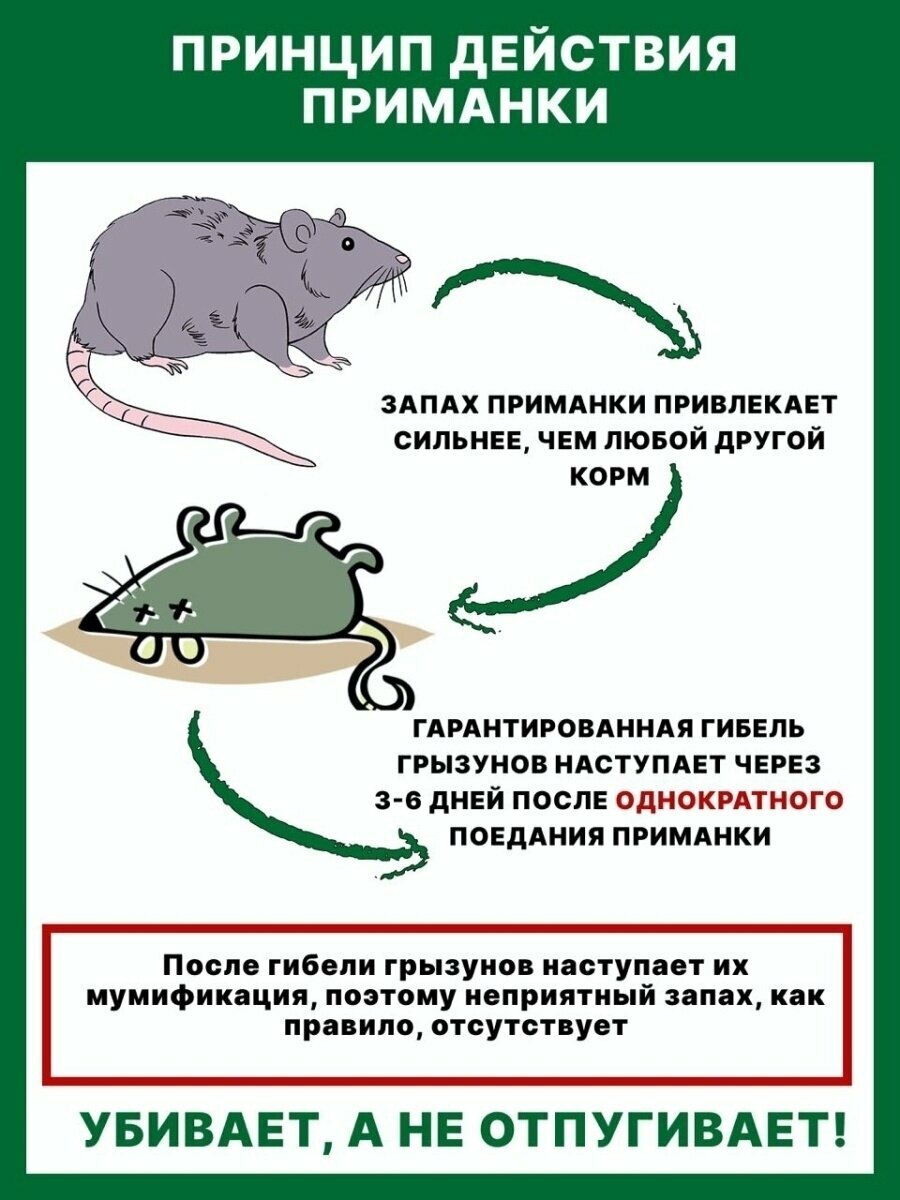 Зерновая приманка от грызунов Абсолон 100 гр - 1 упаковки / Отрава, яд от мышей и крыс / НПО Гарант - фотография № 3