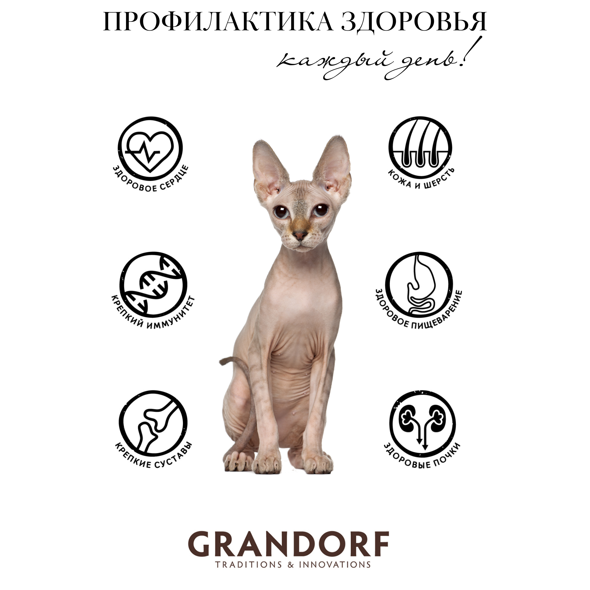 Grandorf низкозерновой корм для домашних кошек с пробиотиками "четыре вида мяса с бурым рисом" - фотография № 5