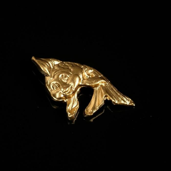 Сувенир кошельковый "Золотая рыбка ", олово, 2х1х0,3 см - фотография № 1