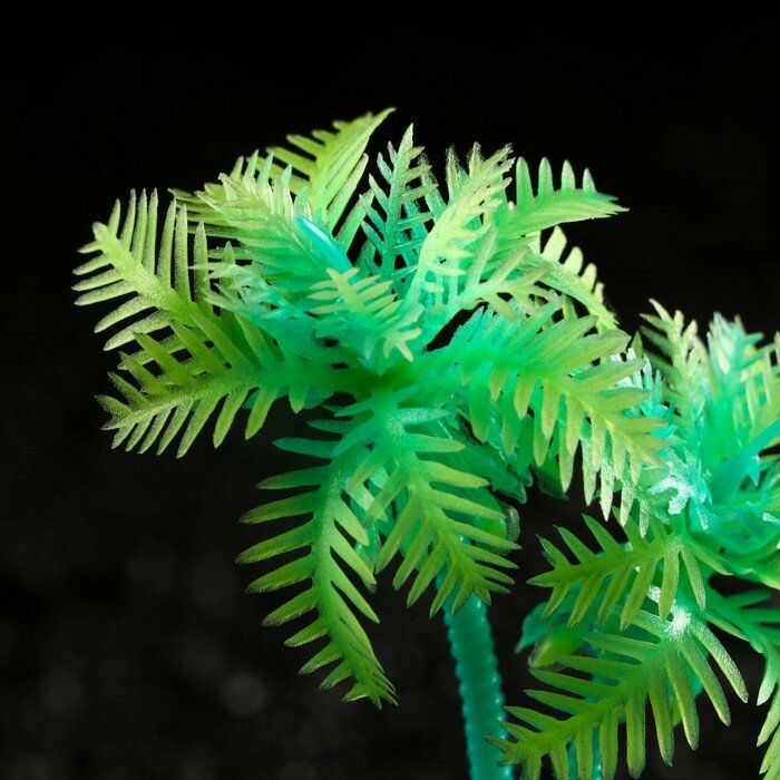 Растение искусственное аквариумное "Пальма", светящееся, 10 см, зелёное - фотография № 2