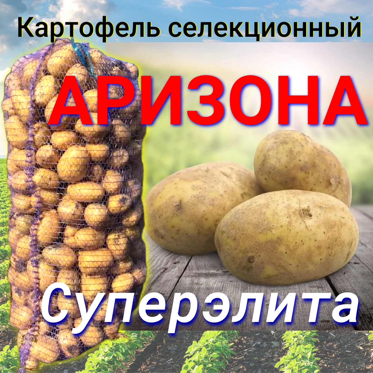 Семенной селекционный картофель Аризона Суперэлита 1 кг
