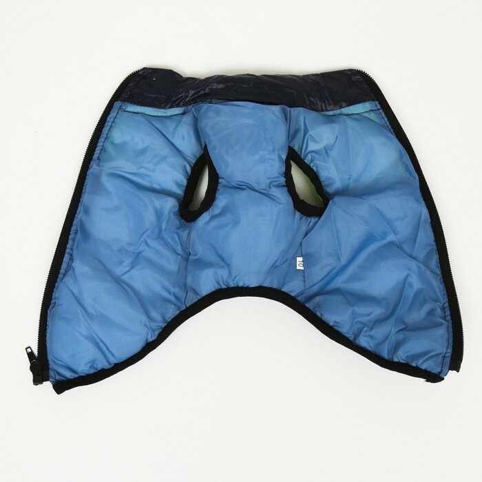 Куртка для собак на молнии, размер 14 (ДС 32 см, ОГ 42 см, ОШ 31 см), синяя с жёлтым - фотография № 7