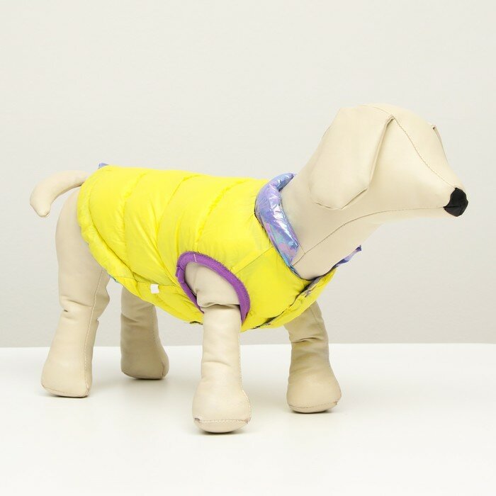 Куртка для собак двухсторонняя с утяжкой размер 14 (ДС 32, ОГ 42, ОШ 31),фиолетовая/жёлтая - фотография № 10