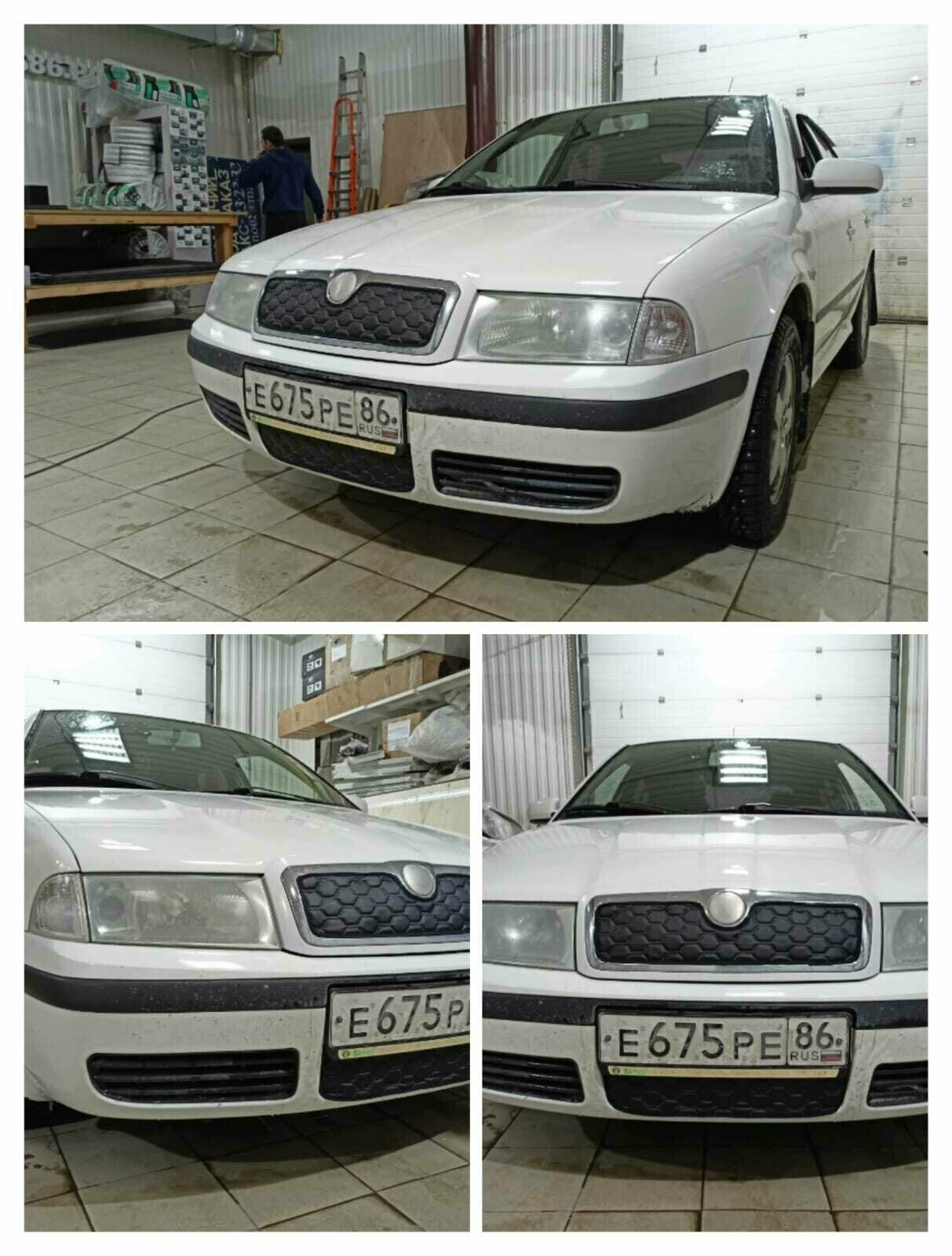 Утеплитель радиатора для Skoda Octavia A4 2000-2004 (комплект 2шт)