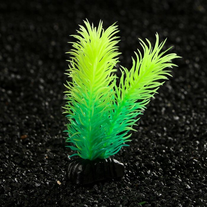 Растение искусственное аквариумное, светящееся, 8 см, зелёное - фотография № 3