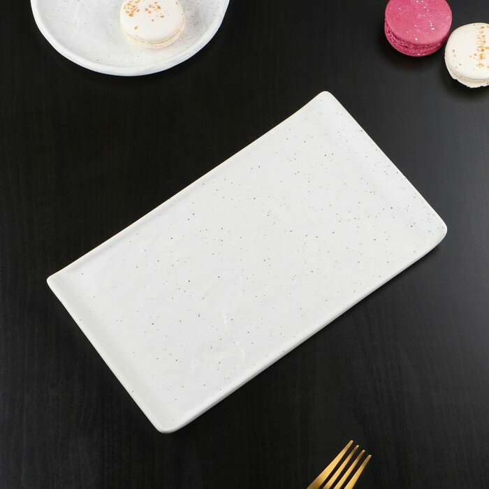 Magistro Блюдо фарфоровое для подачи Magistro Slate, 26,5×15 см, цвет белый - фотография № 3