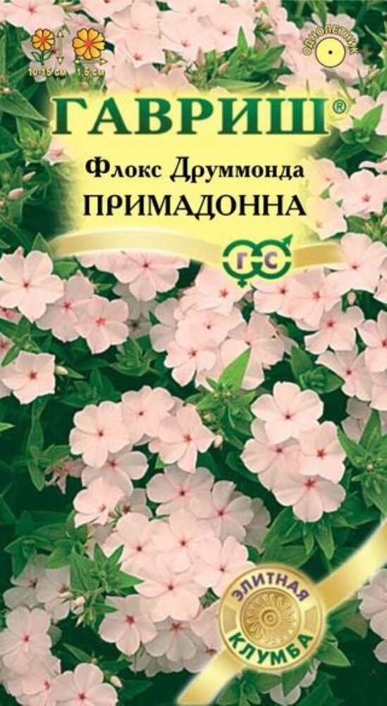 Флокс Примадонна друммонда 8шт Одн 15см (Гавриш) Элитная клумба